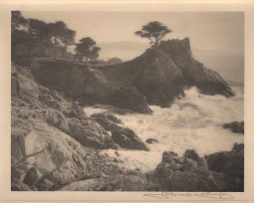 Monterey [cypress trees, coast/surf]