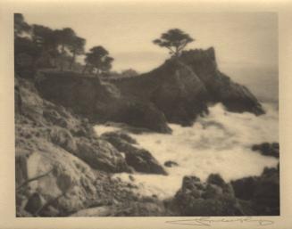 Monterey [cypress trees, coast/surf]