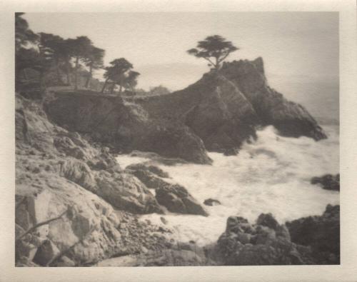 Monterey [cypress trees, coast/surf]