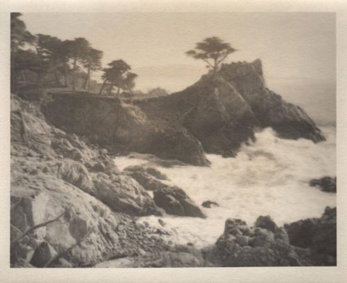 Monterey [cypress trees, coast/surf]