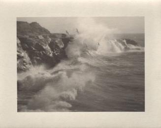 untitled [California coast, surf, seagulls]