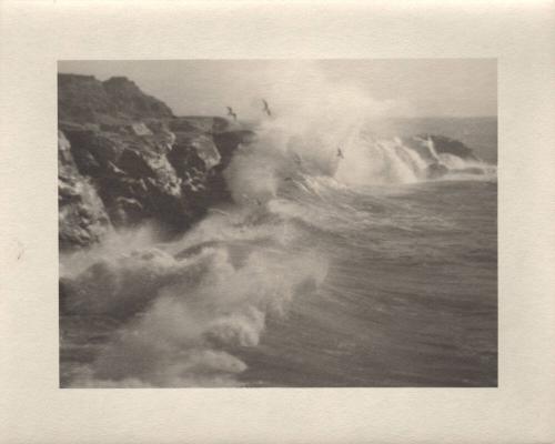 untitled [California coast, surf, seagulls]