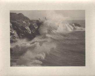 untitled [California coast, surf, seagulls]