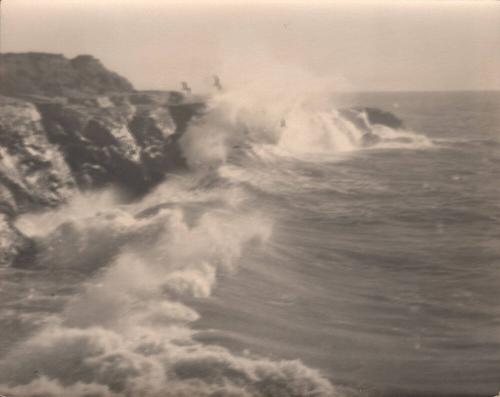 untitled [California coast, surf, seagulls]