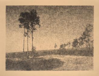untitled [landscape, three eucalyptus trees, roadside]