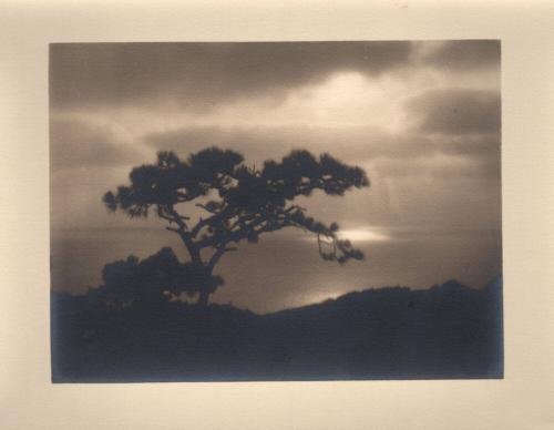 untitled [torrey pines, silhouette, ocean view, sunset]