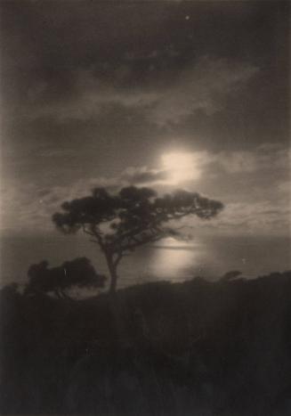 untitled [torrey pines, silhouette, ocean view, sunset]