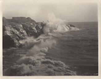 untitled [California coast, surf, seagulls]