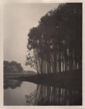 untitled [landscape, group of trees silhouetted, water’s edge]