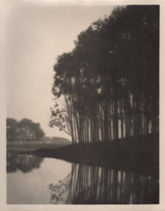 untitled [landscape, group of trees silhouetted, water’s edge]