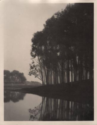 untitled [landscape, group of trees silhouetted, water’s edge]