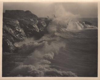 untitled [California coast, surf, seagulls]