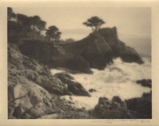 Monterey [cypress trees, coast/surf]