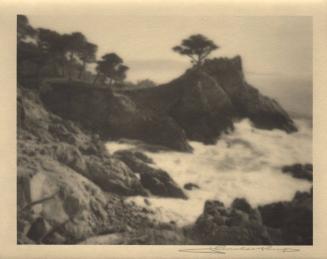 Monterey [cypress trees, coast/surf]