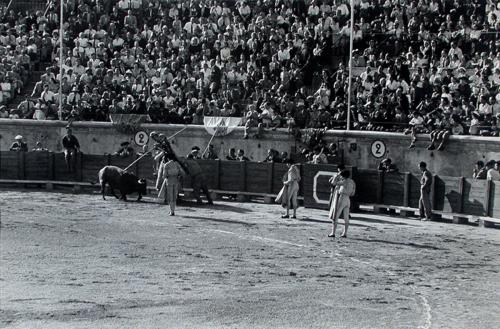 Bullfight at Bezier, Southern France