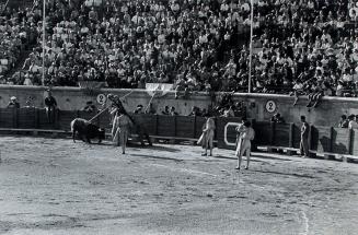 Bullfight at Bezier, Southern France