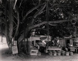 Fruit Market, South Dixie Highway, Miami, Florida