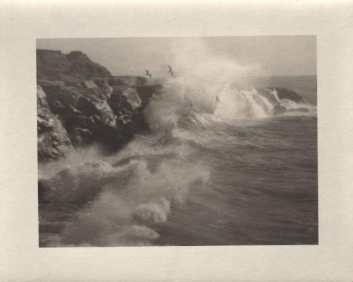 untitled [California coast, surf, seagulls]