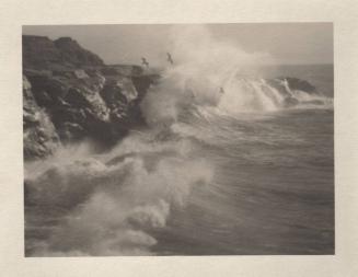 untitled [California coast, surf, seagulls]