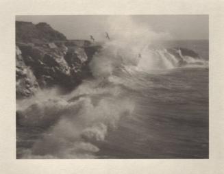 untitled [California coast, surf, seagulls]