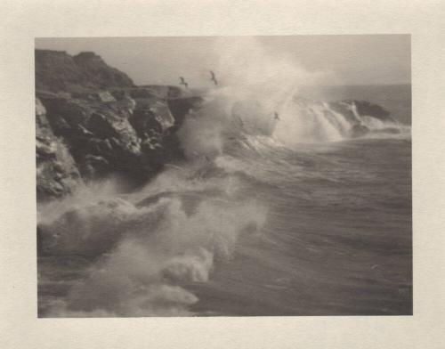 untitled [California coast, surf, seagulls]