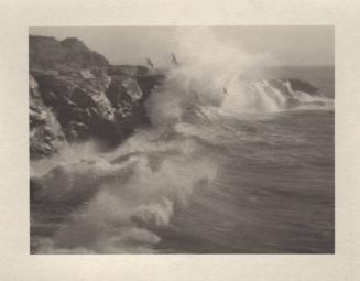 untitled [California coast, surf, seagulls]