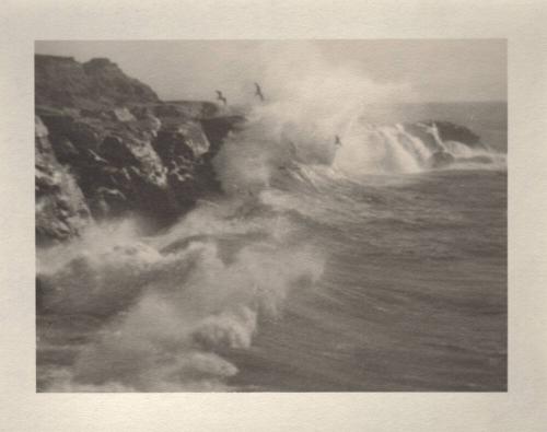 untitled [California coast, surf, seagulls]