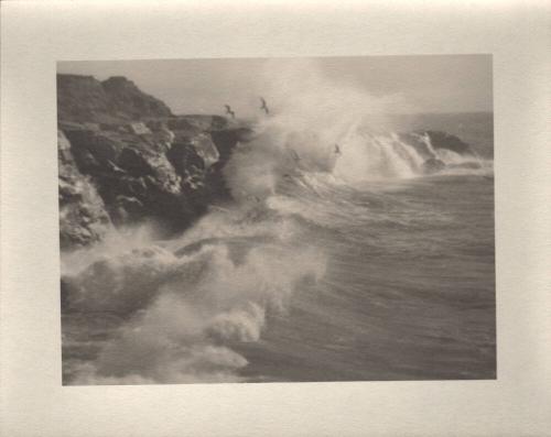 untitled [California coast, surf, seagulls]