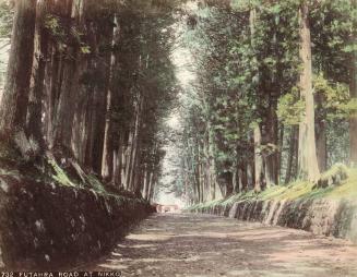 Futahara Road at Nikko