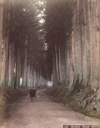 Imaichi Road Nikko