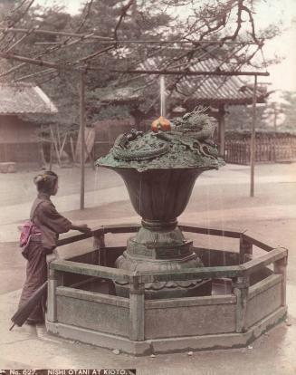 Nishi Otani at Nikko