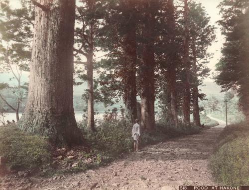 Road at Hakone