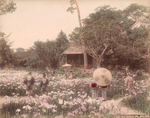 Iris Garden, Horikiri, Tokio