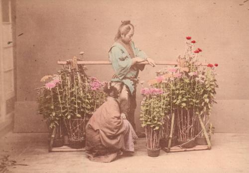 Flower Seller