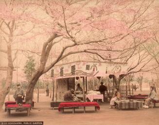 Yokohama, Public Garden