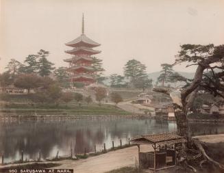 Sarusawa at Nara