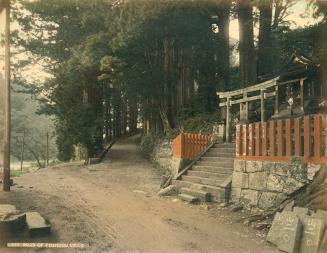 Road of Toshogu Nikko