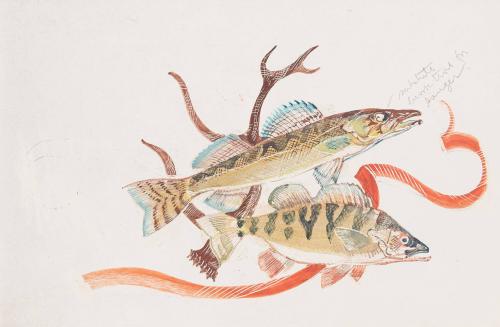 untitled [two fish]