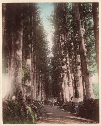 Nikko Road