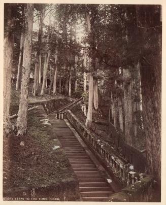 Stone Steps to the Tomb, Nikko