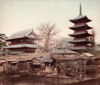 Temple, Pagoda, and the Backyard