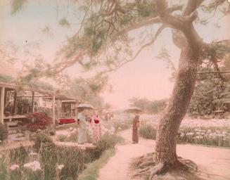 Three Women Standing in Field of Flowers