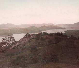 Terraced Fields