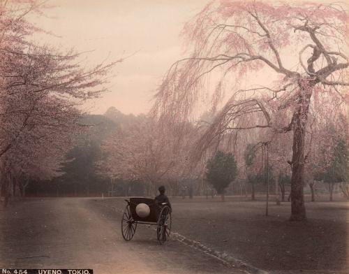 Uyeno Tokio