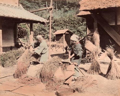 Threshing