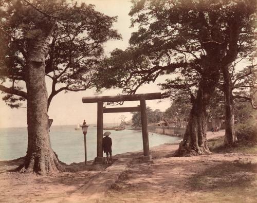 Torii at Seaside