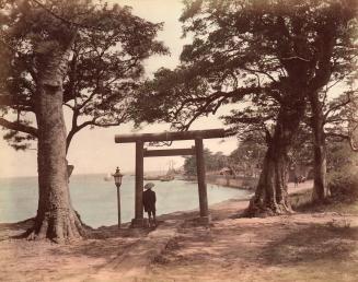 Torii at Seaside