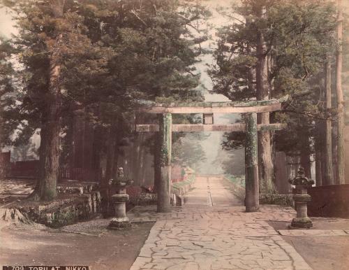 Torii At Nikko