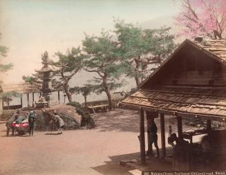 Nakano Chaya (Tea House), Chiusenji Road, Nikko