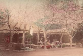 Teahouse in Ueno, Tokyo